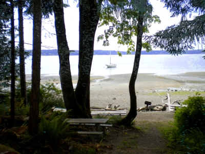 Kopachuck State Park Tide Chart