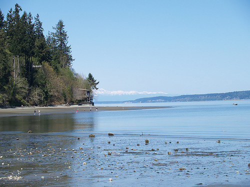 Tolmie State Park Tide Chart