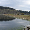 #11 - Spencer Spit | East shore of Lopez Island. 16 buoys for overnight stays, good anchorage, south side a bit more protected from boat traffic. The beach is great! A must stop if only for a few hours.
