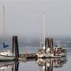 Mystery Bay: #13 - Kilisut Harbor on Marrowstone Island, 683 feet of dock space, 7 buoys, pumpout, day use of the park only, overnight moorage ok. A great destination!