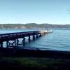 Twanoh: #22 - 8 miles west of Belfair in Hood Canal, 192 feet of dock space, camping, 7 buoys, restrooms, showers, pumpout, picnic area, seasonal concession stand. A large, popular park. No moorage or camping in the winter.​