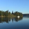 Eagle Island: #4 - Balch Passage between Anderson and McNeil Island, only 3 buoys and no facilities but a wonderful park with good anchoring.
